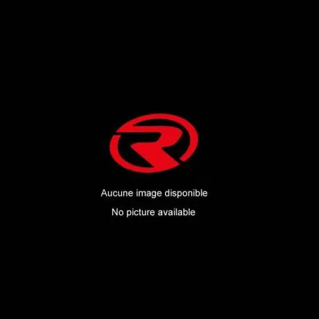 Silencieux arrière Ragazzon pour AUDI A3 (8P) (05/2003 - 08/2012) 50.0094.12 Commande En Gros