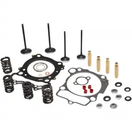 Petit Prix KIT RÉFECTION DE CULASSE DE TRX450 2006 à 2014