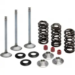 Kit de conversion de soupapes admissions et ressorts en acier inoxydable YFZ450 04-09 / YFZ450-R 2009-2022 En Vogue
