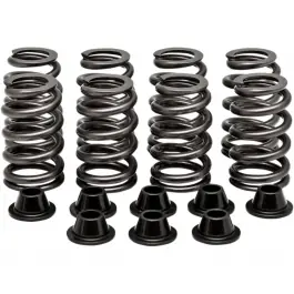 KIT RESSORTS DE SOUPAPES RZR XP1000 Satisfait Ou Remboursé