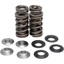 Kit de ressort de soupape 700 Raptor Exclusif