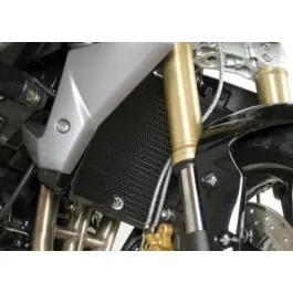 Vente Directe Protection de radiateur R&G RACING Aluminium - Triumph Daytona/Street Triple 675