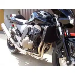 Prix Réduit Sliders de radiateur R&G RACING - Kawasaki Z750/S